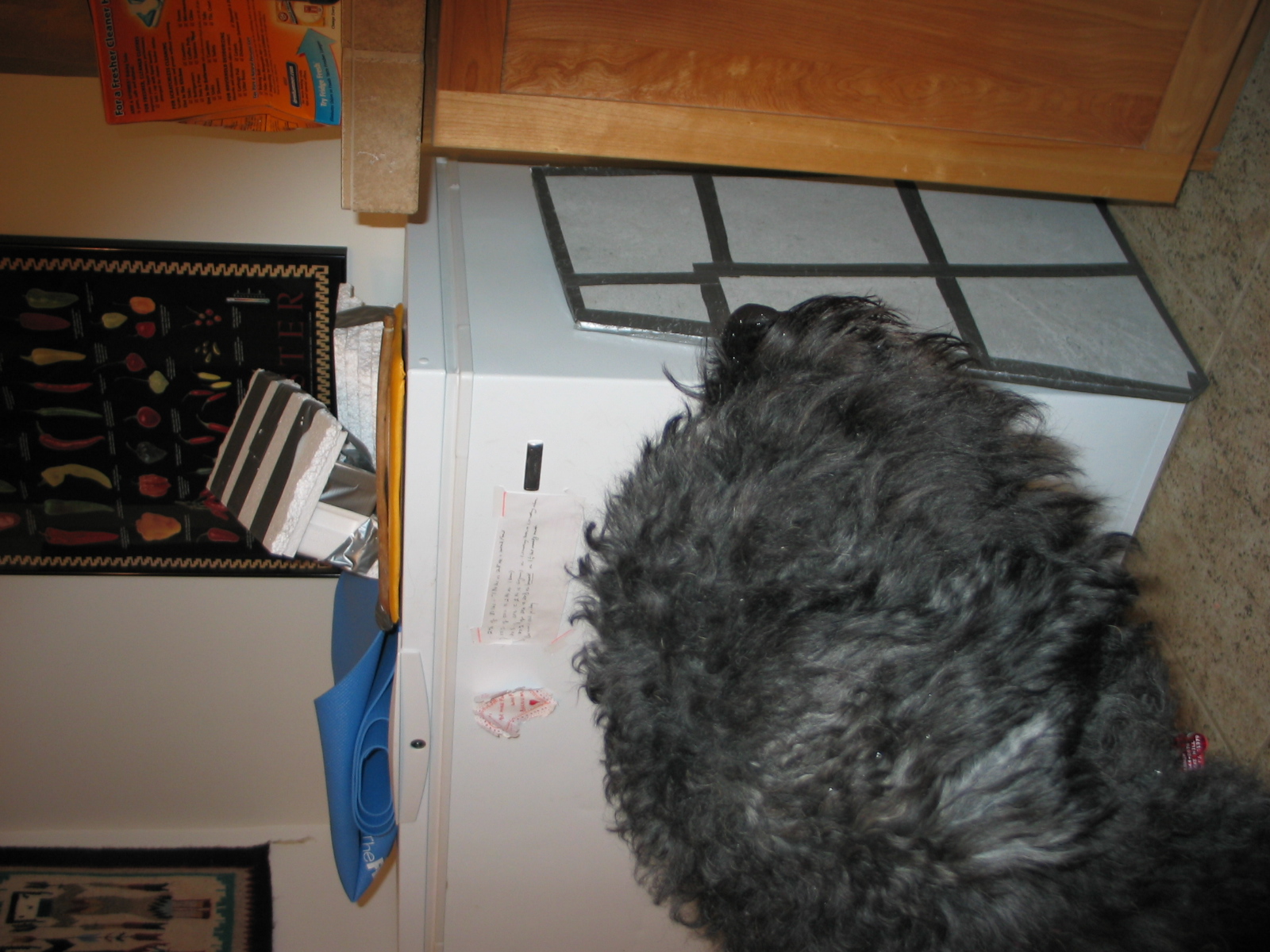 Dog-training bathroom: Meat freezer, dog nail file/scratching board, yoga