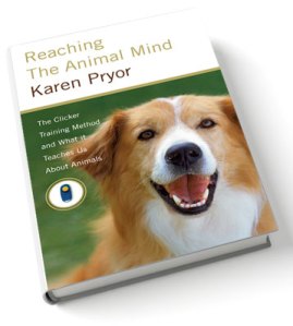 Book Cover for Reaching the Animal Mind