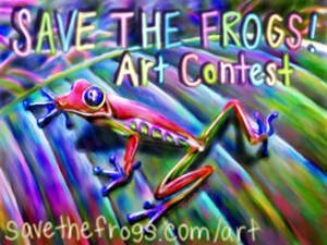 A psychedelic ad for the Save the Frogs! Art Contest. All the letters and the background and the frog are in super bright colors, mostly purples, greens, and yellows. At the bottom it says savethefrogs.com/art