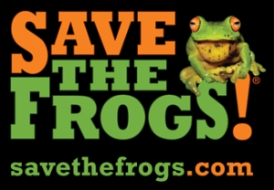 Logo for Save the Frogs! Black rectangle with the words Save the Frogs! in bright green and orange. There is a photo of an actual bright green frog with huge bulging orange eyes and a yellow tongue sticking out sitting on the ess and exclamation point. Underneath it says savethefrogs.com.