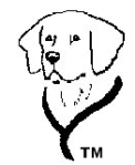 Outline sketch, black on white, of a dog's head and neck with a leash or harness draped around his shoulders. The profile is of a flop-eared dog like a Lab or Golden.
