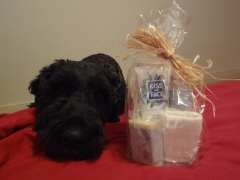 Cellophane bag with three bottles, folded cloth, soap, tied with straw ribbon. Barnum rests his chin on the bed next to the gift bag.