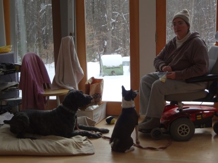 Mina sits facing Sharon. Barnum lies on his mat. Both dogs are looking up at Sharons face.